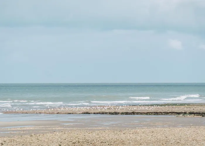 L'Opaline, Ravissante Maison Familiale, Wimereux